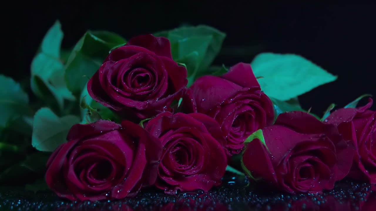 Falling red rose in slow motion