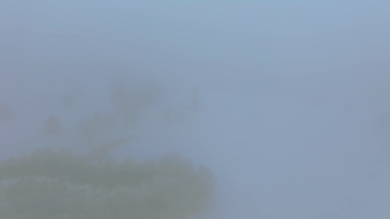 드론 촬영 - 정글의 안개 날