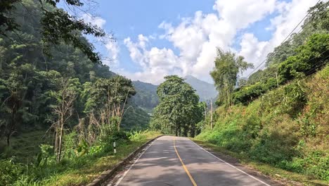 traveling down a winding road surrounded by greenery