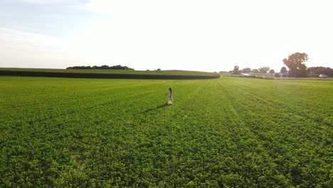 model walking in a field