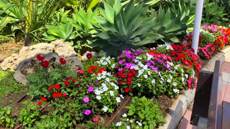 Calle-Española-En-La-Ciudad-De-Estepona-Con-Hermosas-Flores-De-Colores-Y-Palmeras-Junto-A-La-Playa,-Paseo-Marítimo