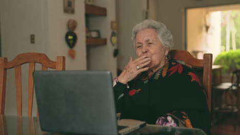 aged woman talking with relatives at laptop