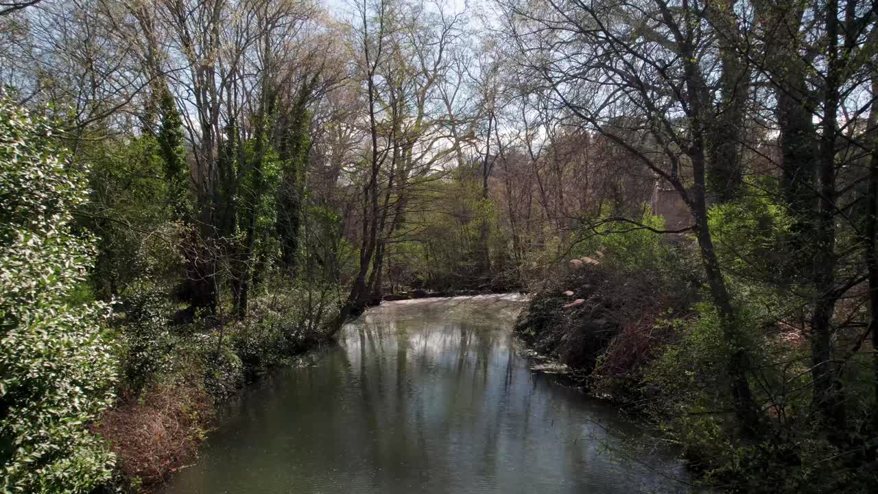 drone disparado sobre un río con árboles a su alrededor, hojas y ramas moviéndose con el viento, clima soleado y sombreado