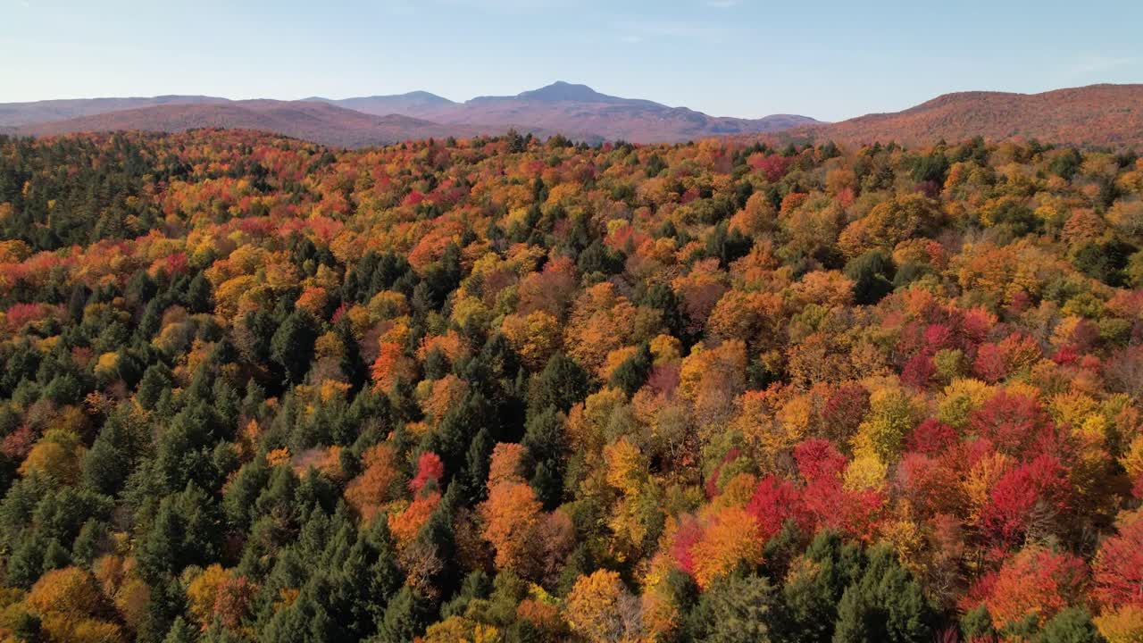 revelación aérea del monte mansfield de nueva inglaterra con un brillante color otoñal, creo que es el monte mansfield en vermont
