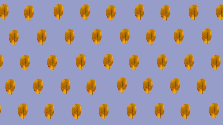 Animation of rows of autumn yellow leaves on purple background