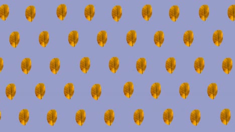 animation of rows of autumn yellow leaves on purple background