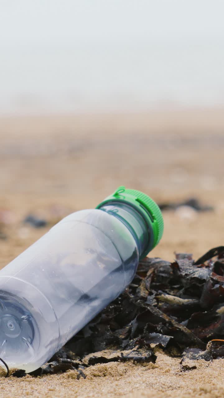 Vertical Video Plastic Drinking Bottle Lying on Seaweed on Beach Polluting Natural Environment and Hazard for Marine Life