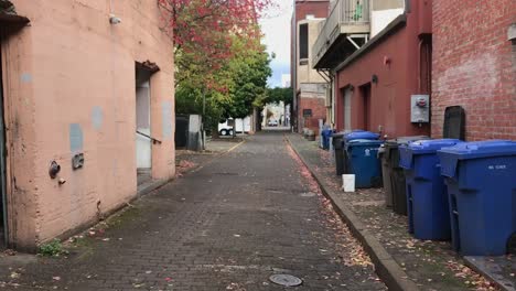 walk down street with fall foliage