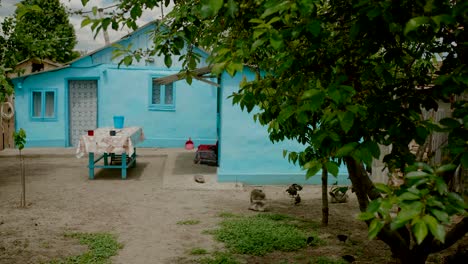 small rural home in the village. countryside house backyard, establishing shot