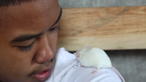 adolescente masculino asiático con bigote claro que pasa tiempo de calidad uniéndose y entrenando a su mascota, una rata blanca dócil y amistosa