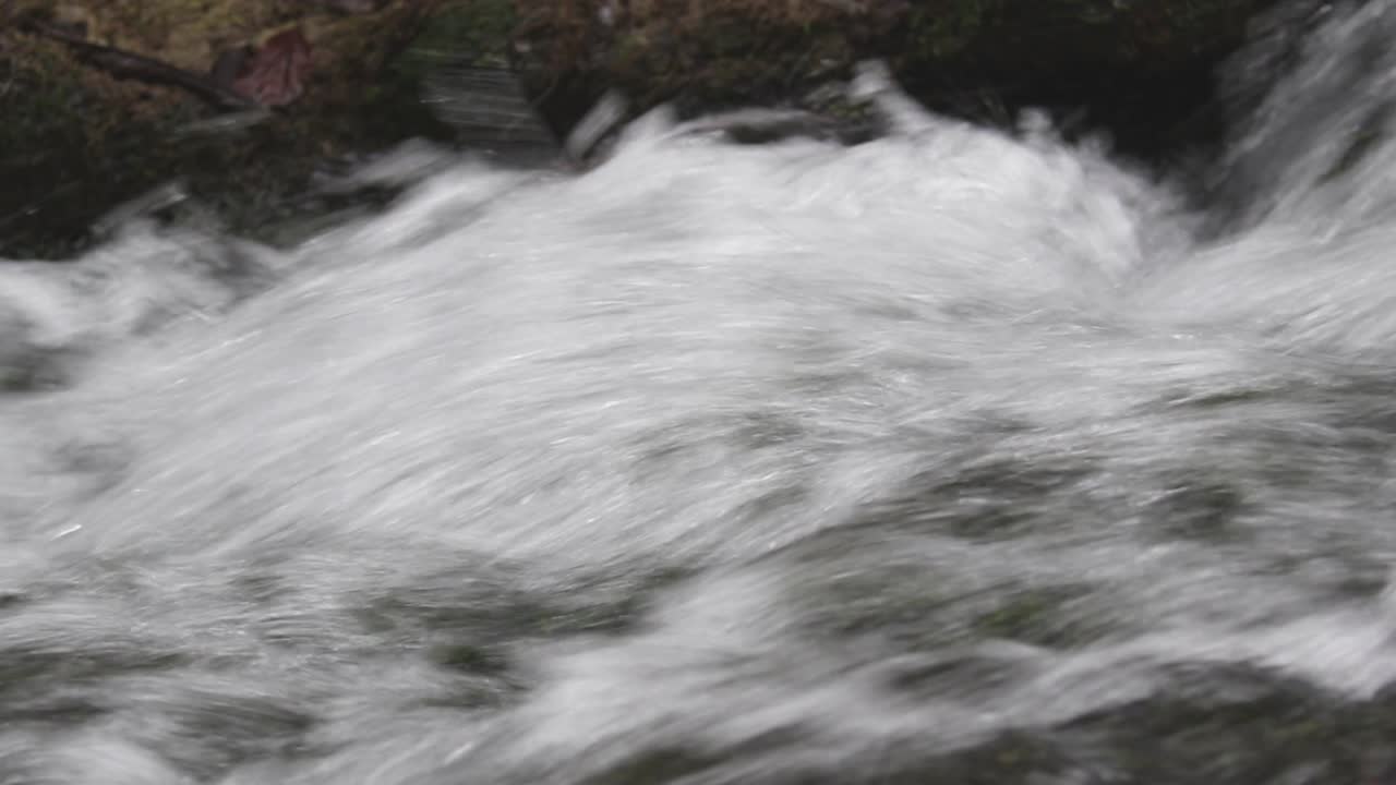 Acqua in rapido movimento in un piccolo ruscello. Regno Unito.