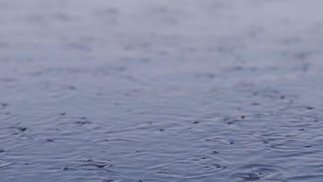 Gimbal-shot-of-blue-water-surface-with-fish