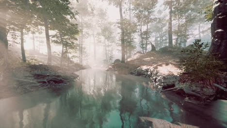 dark-pond-in-mysterious-forest