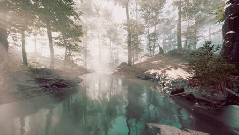 dark pond in mysterious forest