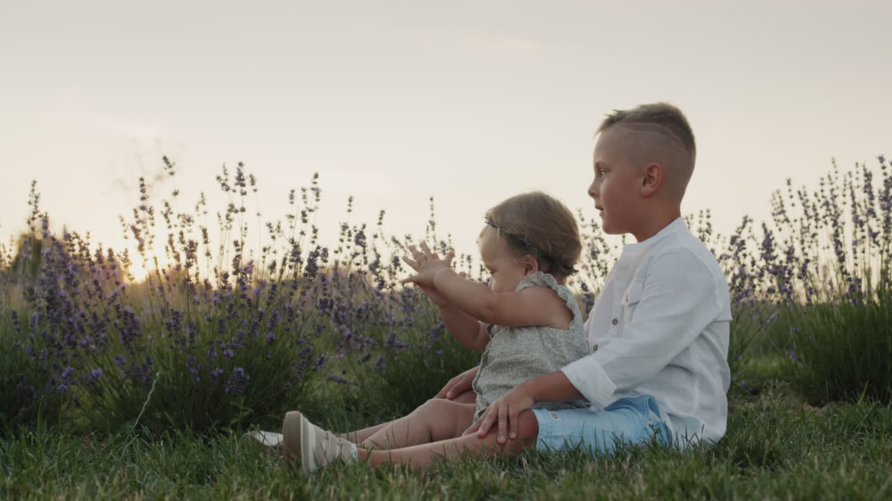 Il ragazzo e la sua sorellina sono seduti vicino ai cespugli di lavanda, il fratello sta giocando con la sua sorellina.