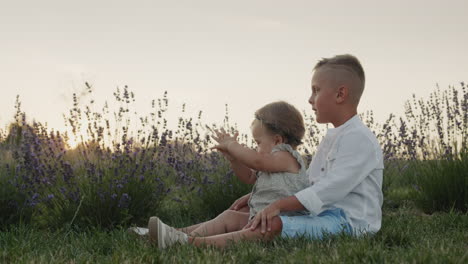 the boy and his little sister are sitting near the lavender bushes, the brother is playing with his little sister