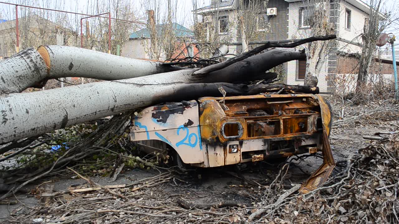 L'auto bruciata. Fuoco e auto