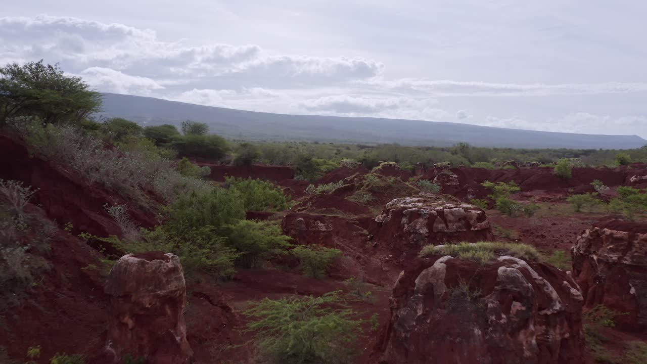 도미니카 공화국의 페데르날레스에 있는 부시와 식물이 있는 언덕이 많은 광산 식물 밭 위로 공중 비행