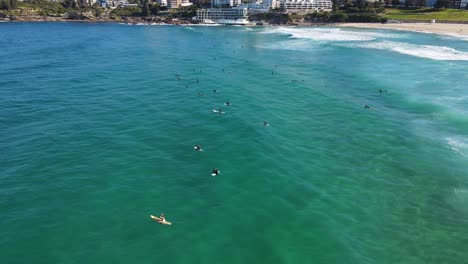 surfen am bondi beach, nsw, australien - surfer liegen auf dem surfbrett und warten auf perfekte wellen zum surfen