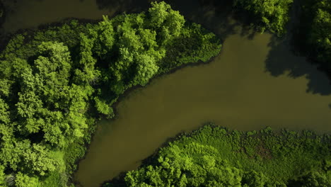 Rivers-Flowing-Through-Lush-Forest-In-AR,-USA---aerial-top-down