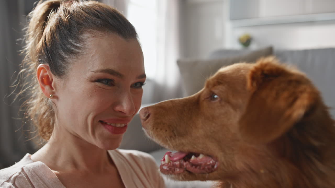 Closeup girl caressing dog muzzle in apartment. Smiling woman looking on pet