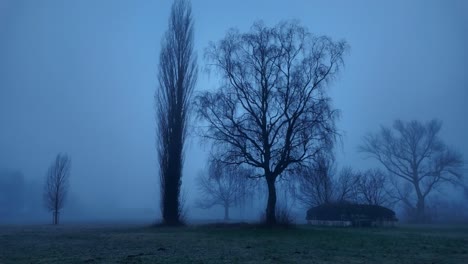 gloomy misty morning in glarus countryside