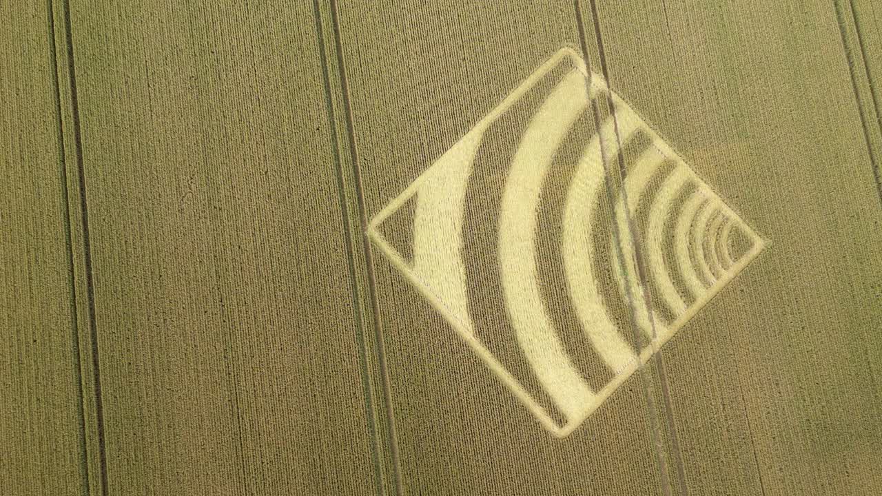 미 ⁇ 데버 골든  ⁇  필드 (micheldever golden wheat field) 의 이상한 파형 작물 광장을 내려다보는 항공 사진, 2023, 햄프셔