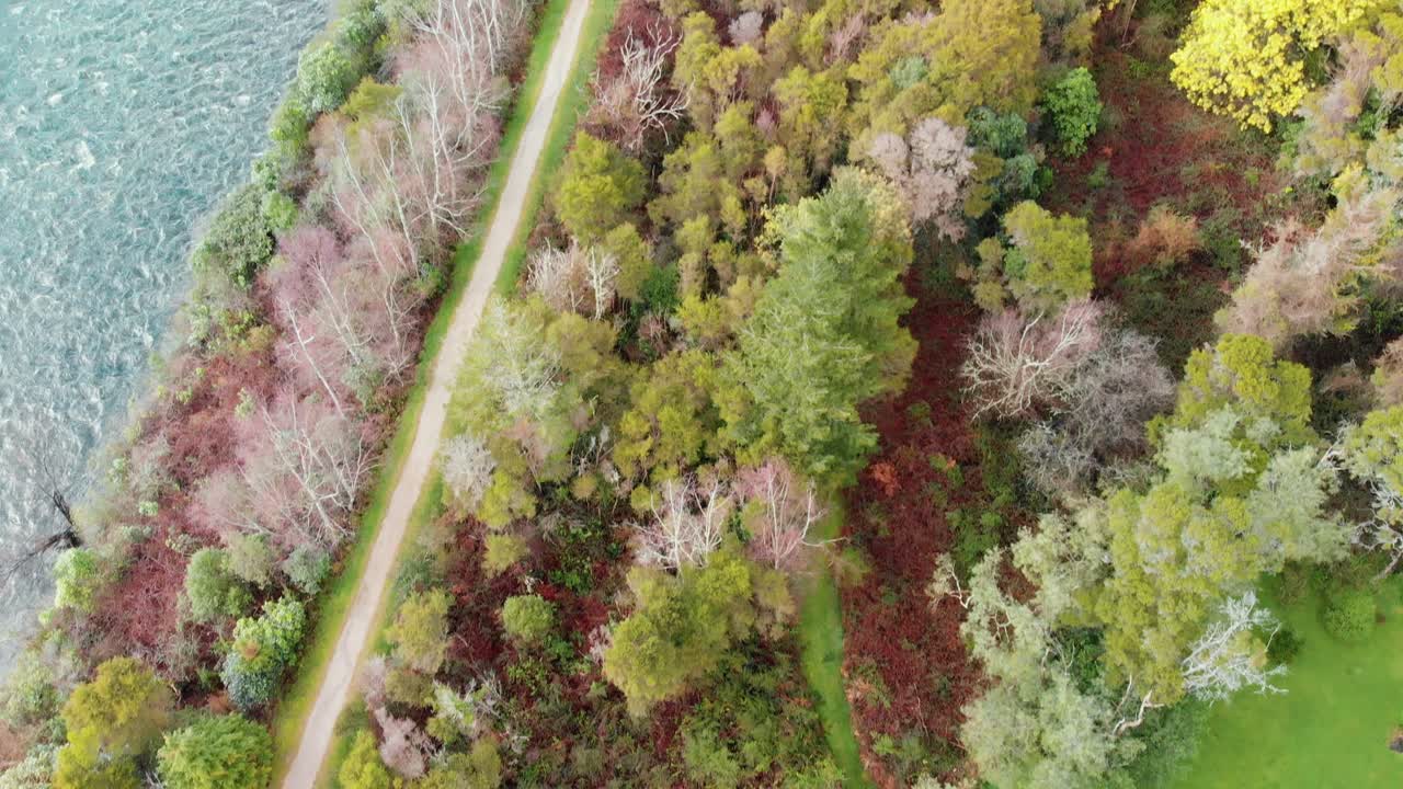 toma cinematográfica del paisaje apacible del jardín cerca del río cristalino