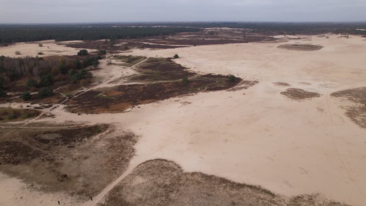 vista aérea descendente de las dunas de arena de loonse en drunense duinen en los países bajos