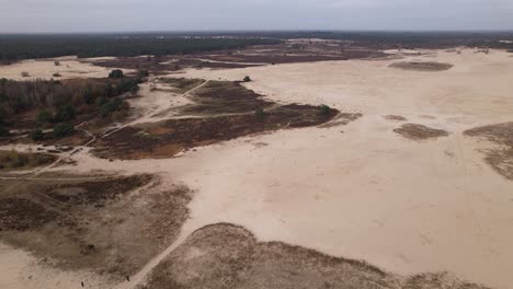 descending aerial view of loonse en drunense duinen sand dunes in the netherlands