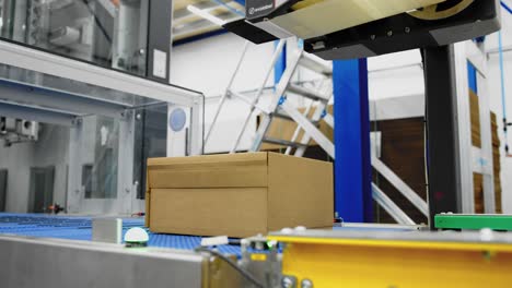 la máquina coloca etiquetas automáticamente en las cajas; embalaje automatizado