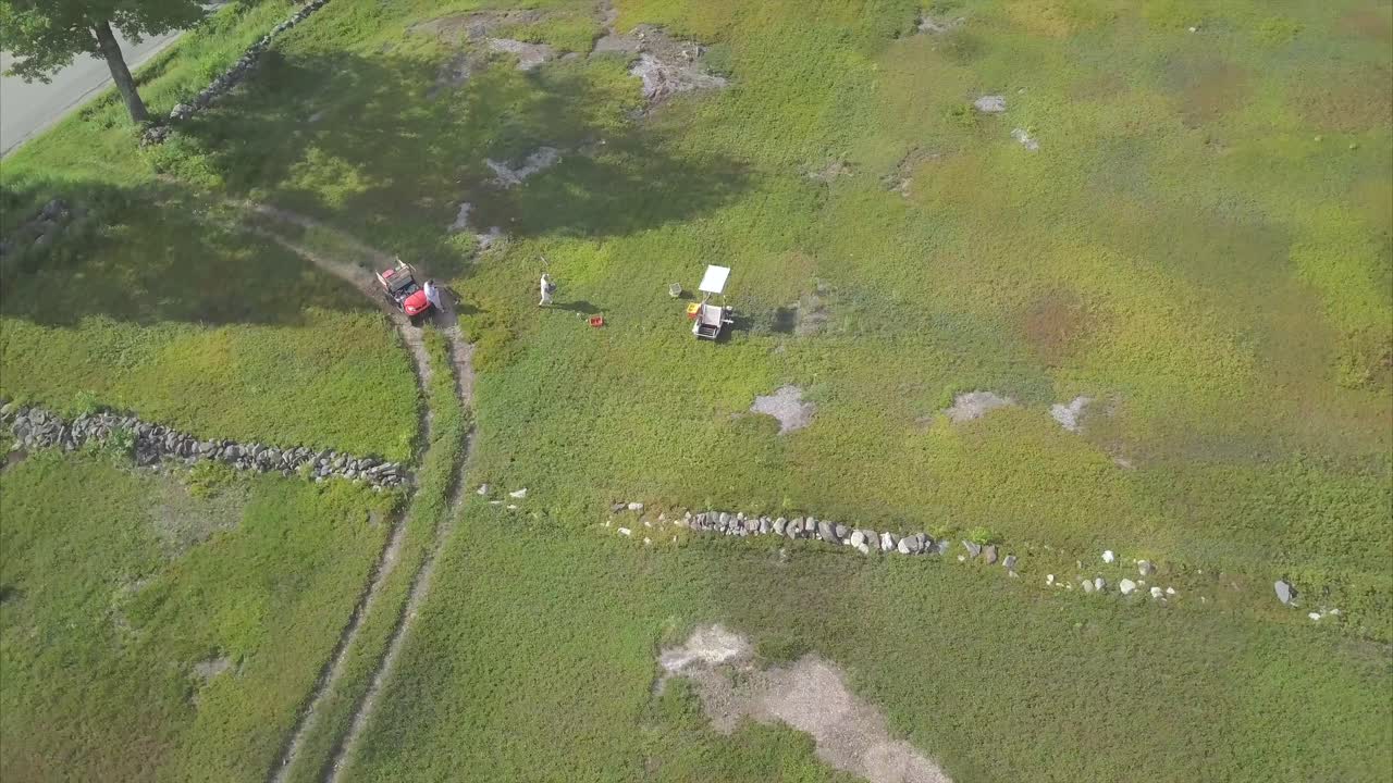 블루베리 밭에서 농장 노동자 위로 높이 날고 있는 희망, 메인 공중