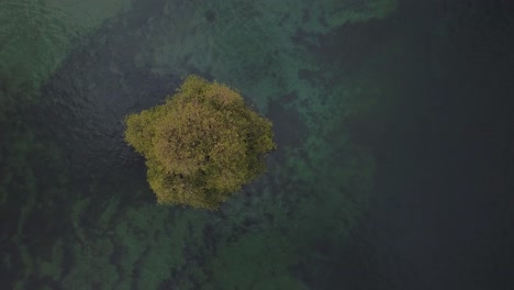 lonely tree growing on a small island in lake geneva waters, creating a peaceful and isolated scene, villeneuve, vaud, switzerland, overhead aerial footage, drone pulling out