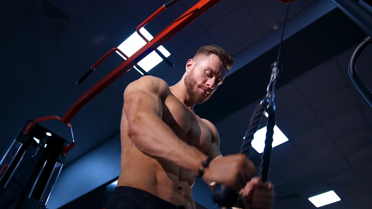Bodybuilder working out in gym. Muscular bodybuilder guy doing exercises in gym