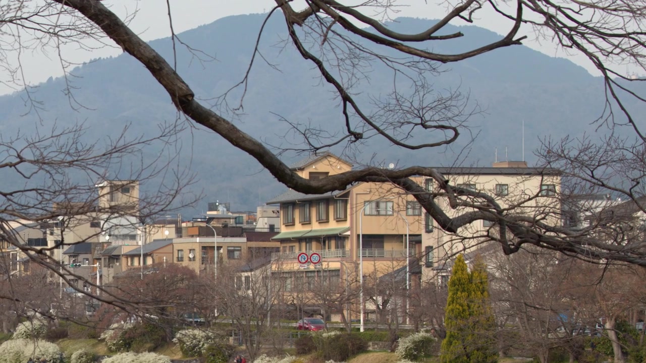 Inquadratura ampia statica di architettura giapponese e montagne incorniciate da rami di alberi invernali a Kyoto.