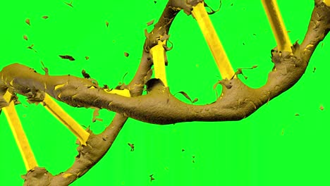 rotating dna formation via peeling of skin with green screen motion background