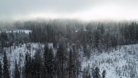 Gélida-Escena-Invernal:-Llamarada-De-Nubes-En-Medio-De-Fuertes-Nevadas-Sobre-Bosques-De-Pinos-Y-Abetos-Helados-En-La-Región-De-Thompson-nicola