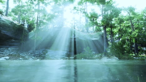 sunbeams streaming through a forest to a calm lake