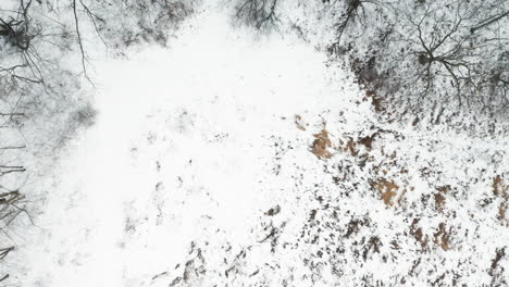 Aerial-shot-of-empty-winter-forest-on-the-shores-of-a-frozen-snow-covered-lake