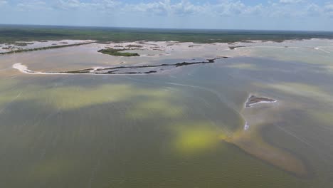 ecological reserve, rio lagartos, yucatan. aerial view