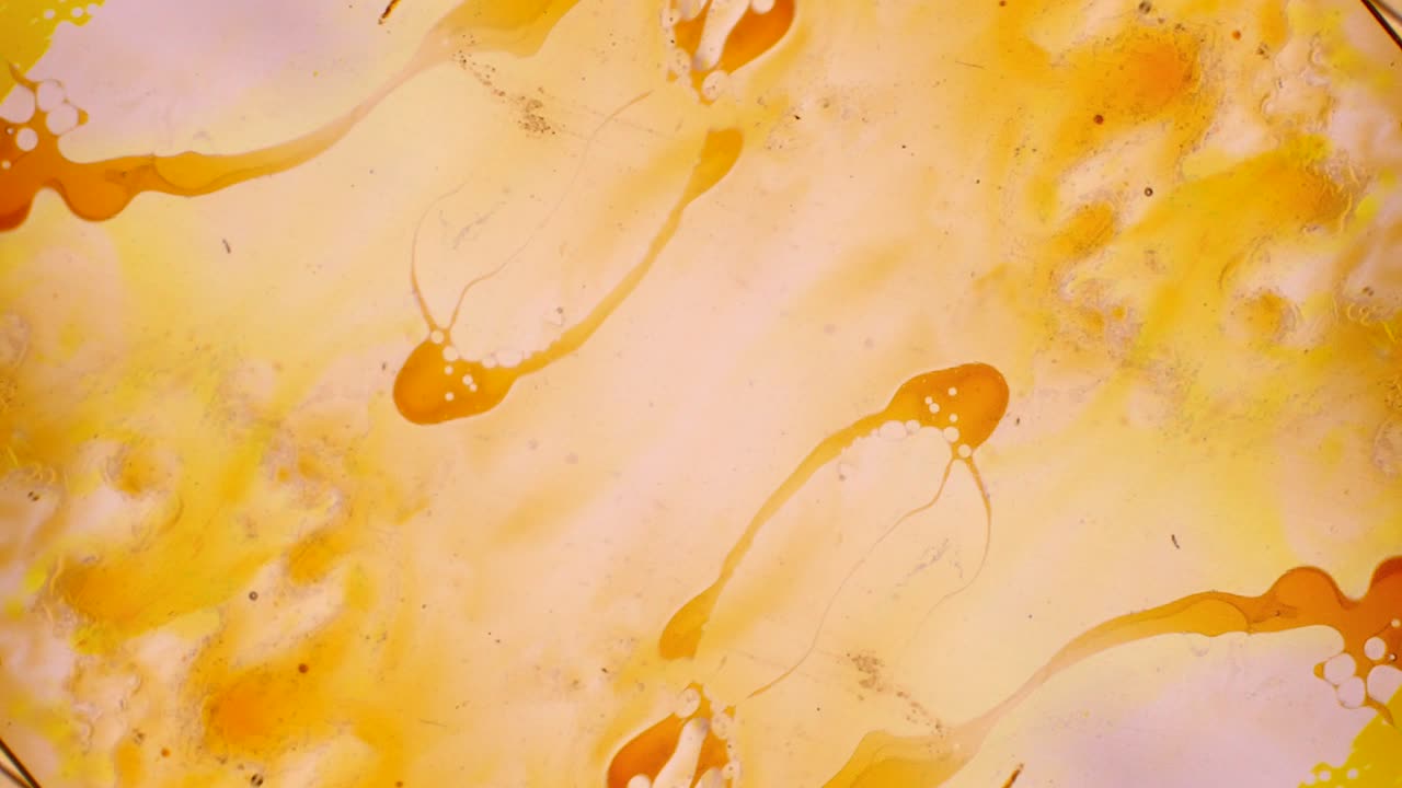 그림의 추상적인 패턴