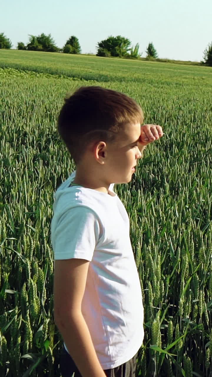 boy running on the green field at sunset. Vertical video