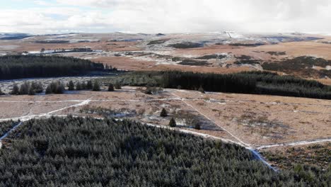 foward moving aerial shot from bellever forrest looking over moorland on dartmoor devon england uk