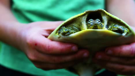 kid holding an adult male spiny softshell turtle