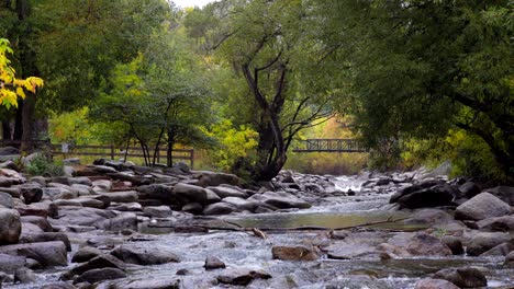 colores de otoño en boulder creek, roca, colorado