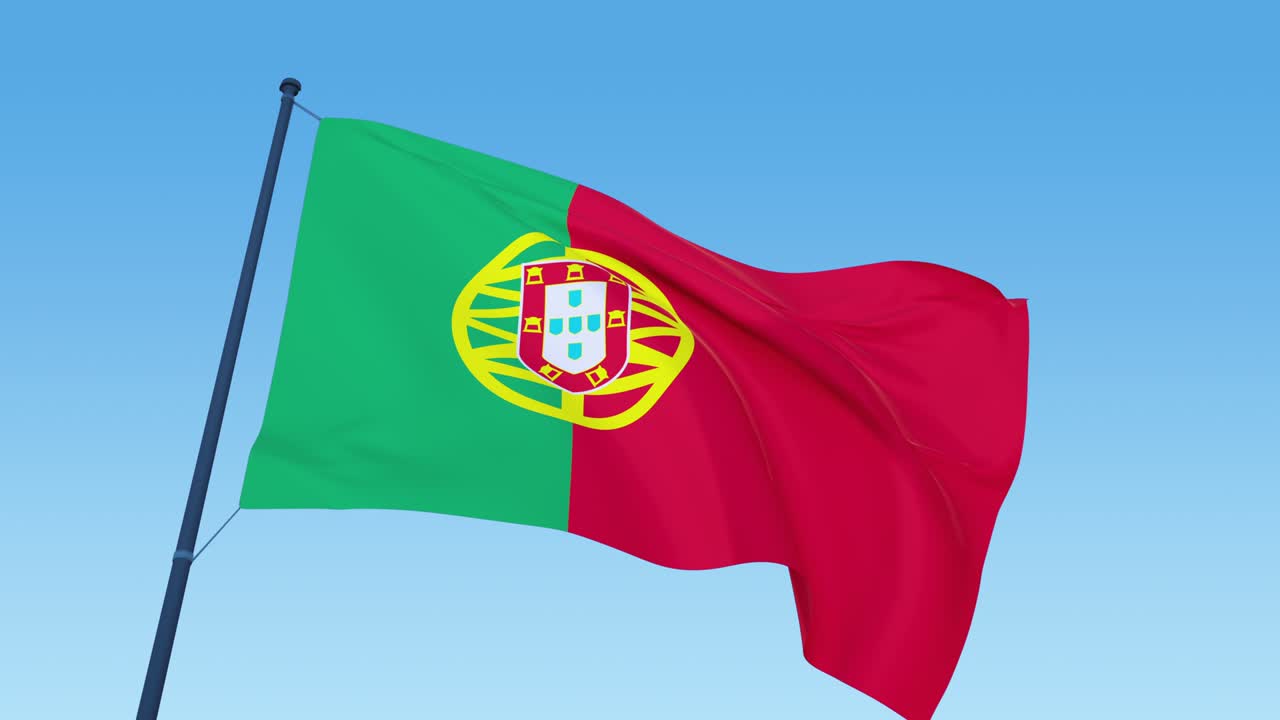 포르투갈 발 루프 영상 낮에 날아오는 근접