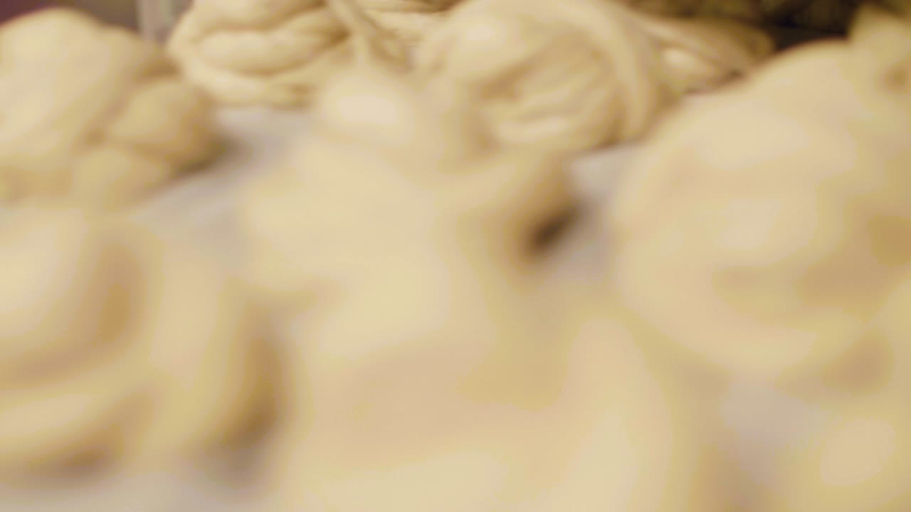 오븐 에 있는 판 의 베이커리 접시