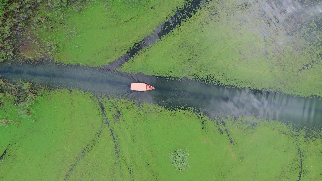 Aerial of a boat tour on Lake Skadar narrow channels lush swamp vegetation