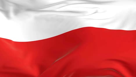 waving  looped flag as  background poland
