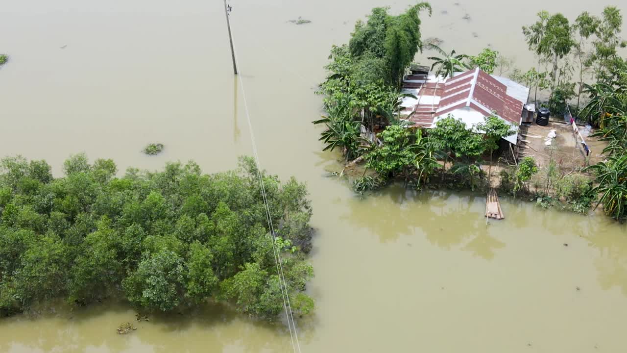 A rural home and nearby trees stand isolated in rising floodwater, showing the impact of severe monsoon inundation across the Bangladeshi countryside